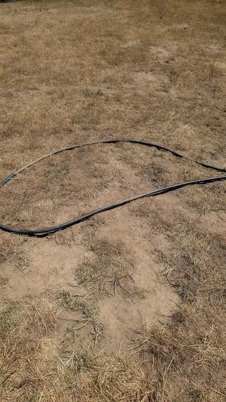 Stressed brown lawn with dry patches during July heat stress and watering setup